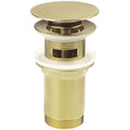Wassertal Plug Geborsteld Goud